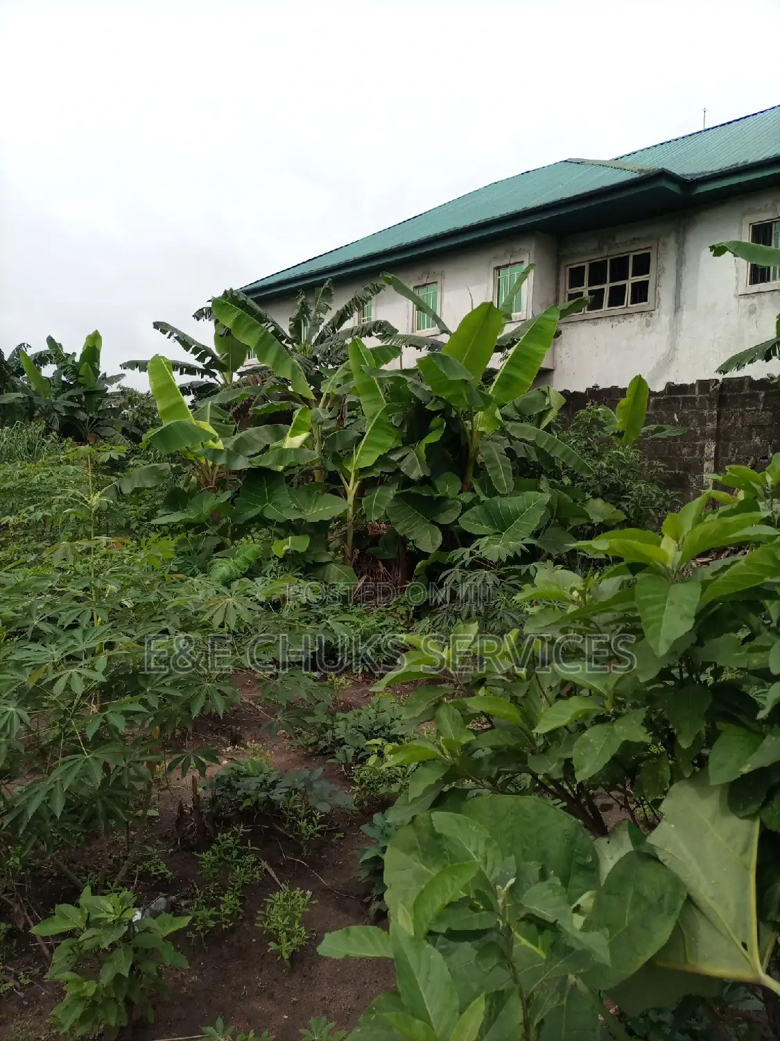 Two Plots Fenced Up With Gate at Oroigwe Road Off Covet