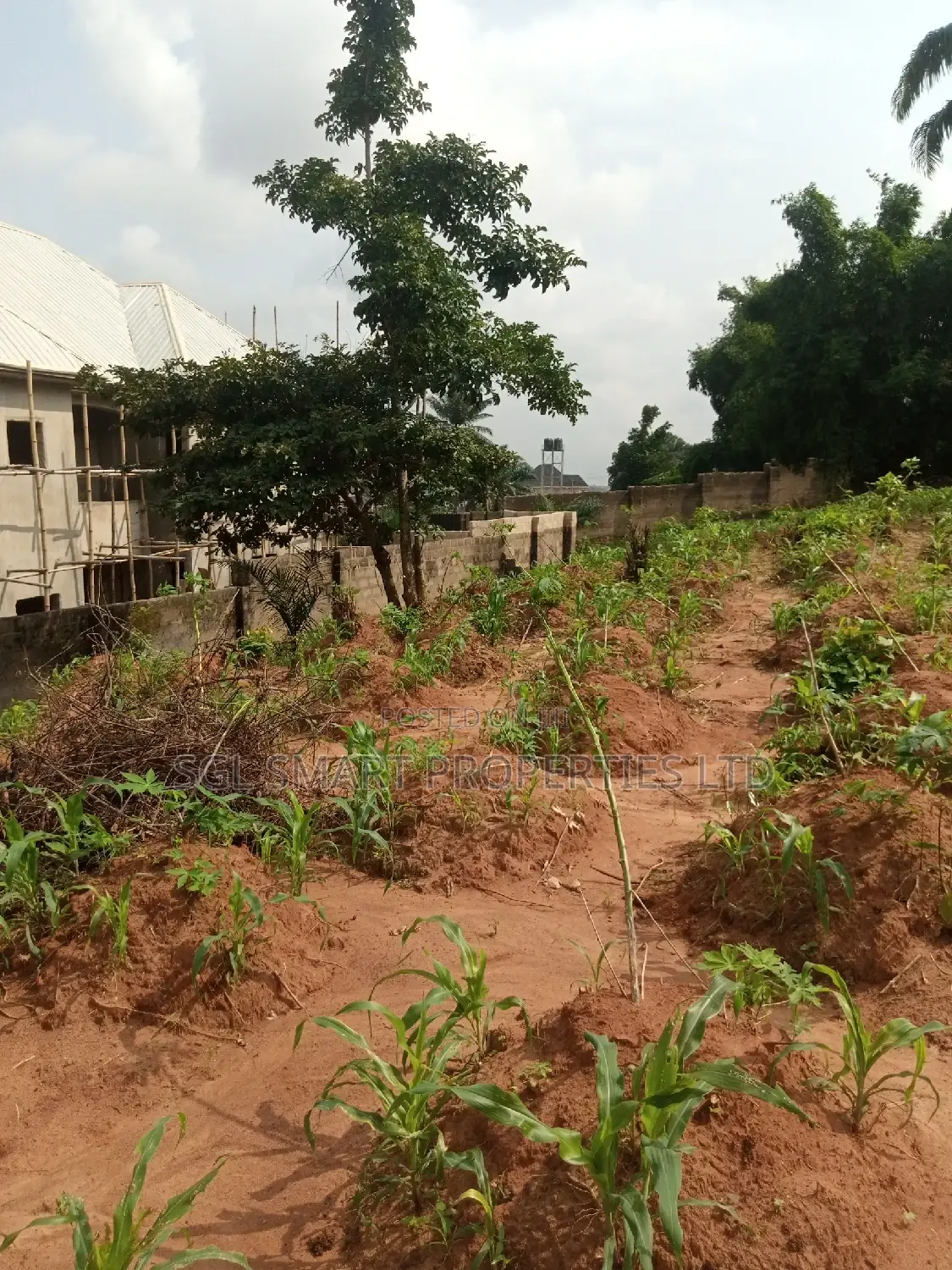 Land for Sale at Nibo