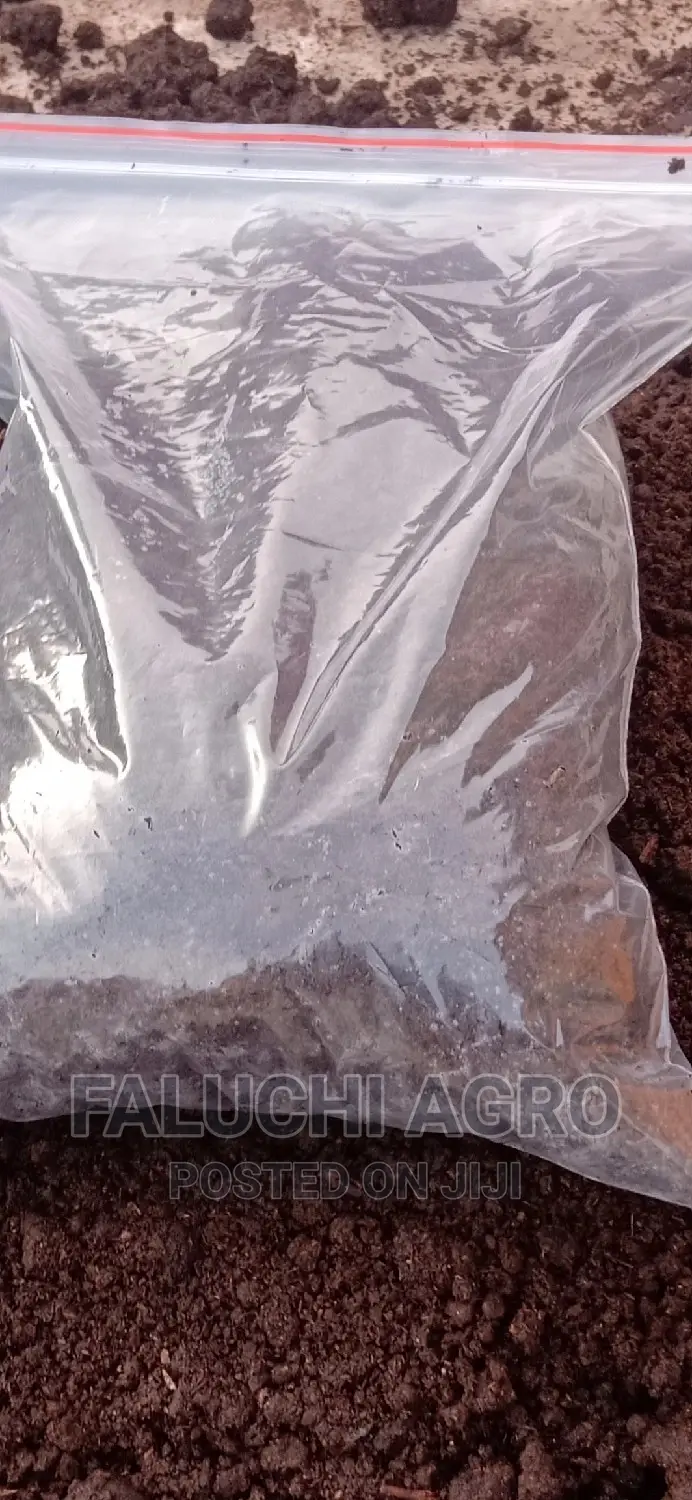 Organic Vermicompost Fertilizer Manure (One Custard Paint).
