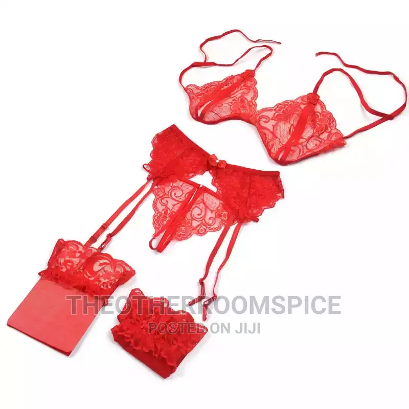 4pcs Crotchless Open Bra Pant Garter Net Stockings Lingerie