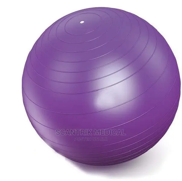 Fitness Ball Yogaball Exercise Ball
