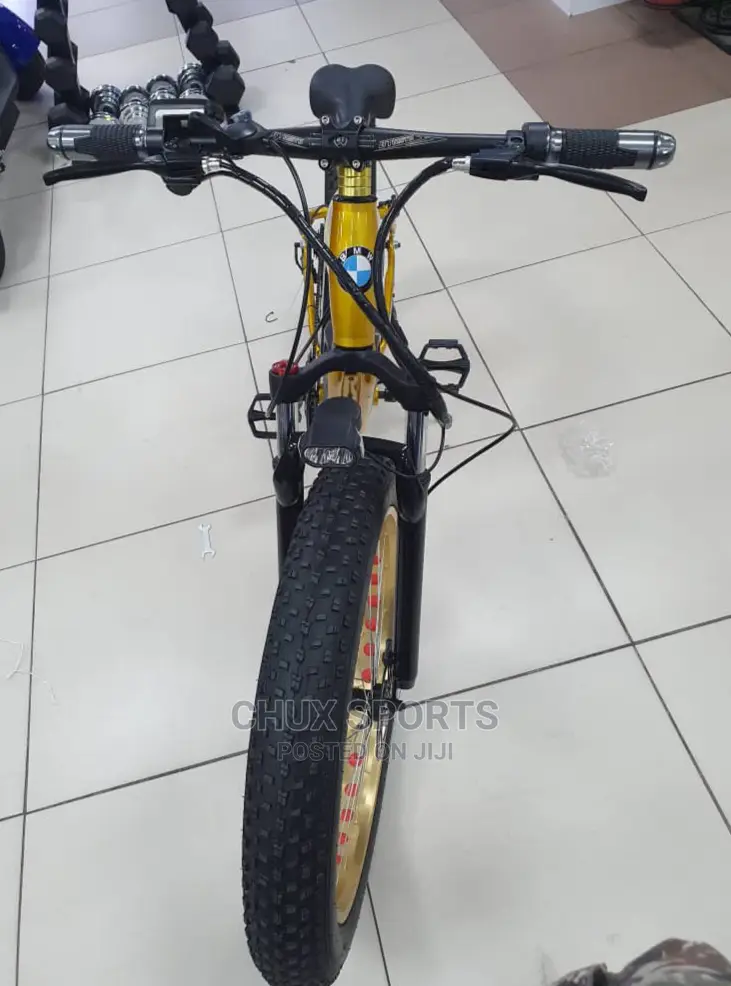 Rechargeable Big Tyre Bicycle (BMW)