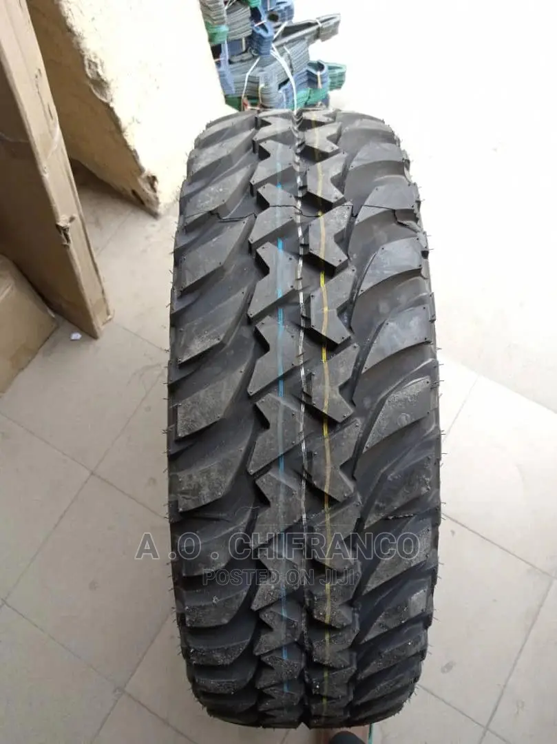 Bridgestone Tires Dunlop Tires Michelin Tires Austone Tires