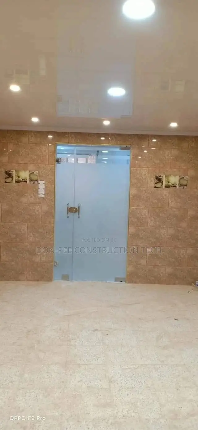 Glass Frameless Door
