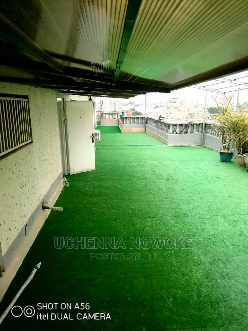 Quality Synthetic Green Grass