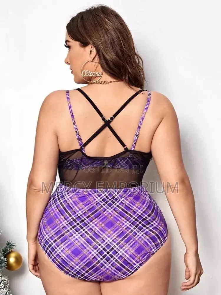Plus Plaid Contrast Mesh Bikini Swimsuit