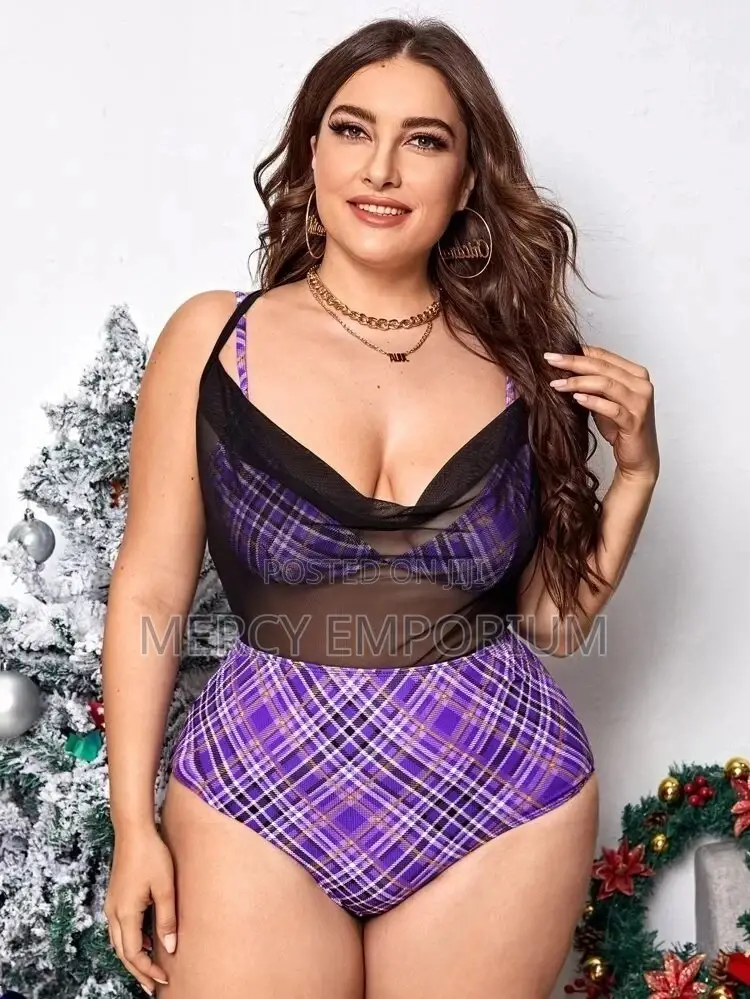 Plus Plaid Contrast Mesh Bikini Swimsuit