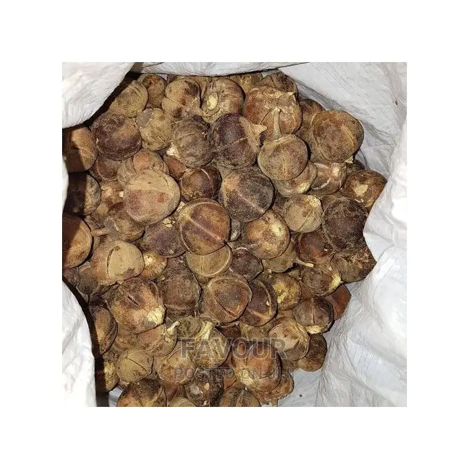 Wholesale Goron Tula for Wetness and Sweetness-100 PCS