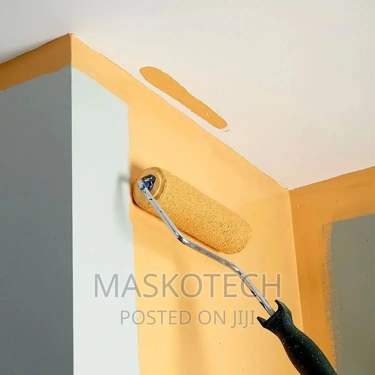 House Painting And Designs