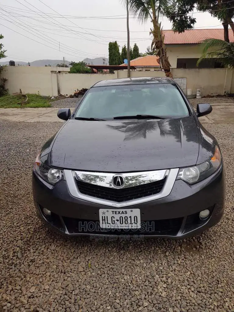 Front Bumper Grille 2009 to 2012 Model Acura TSX