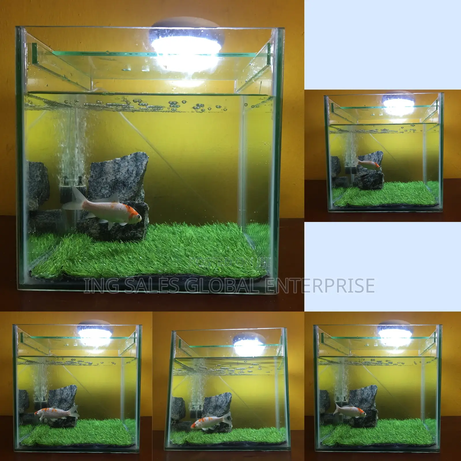 Complete Medium Size Cube Aquarium - 12 By 12 By 12 Inches