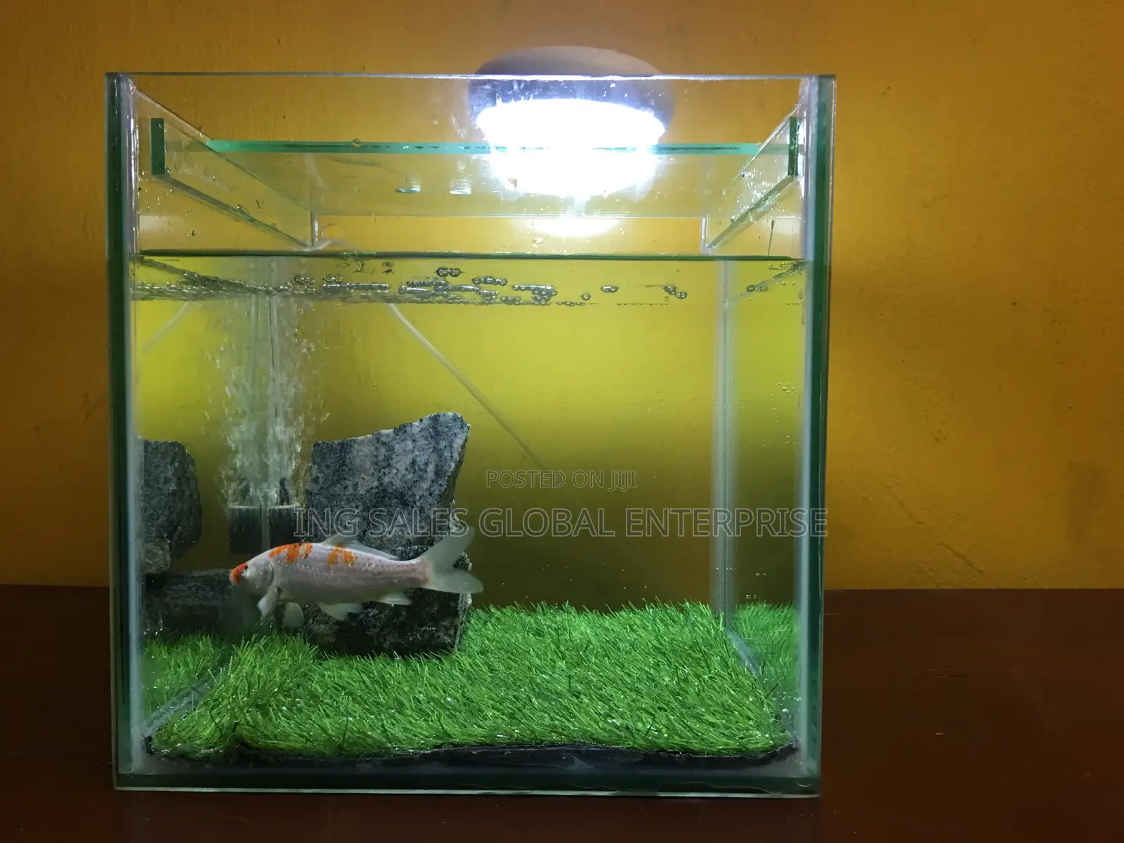 Complete Medium Size Cube Aquarium - 12 By 12 By 12 Inches
