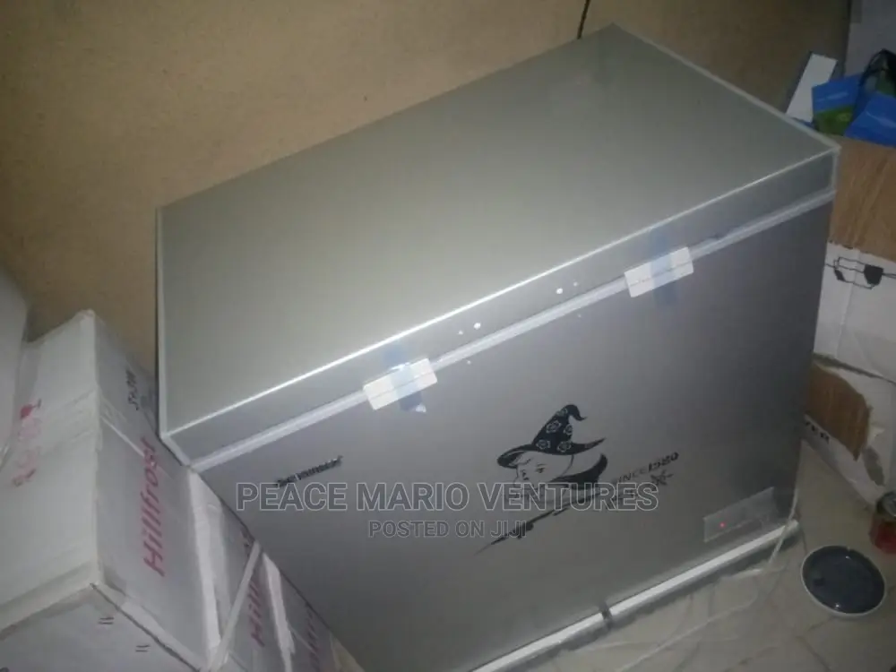 Best Quality Snowsea Deep Freezer 300L With Sliding Glass