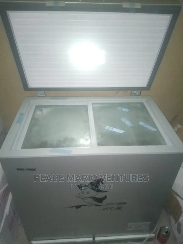 Best Quality Snowsea Deep Freezer 300L With Sliding Glass