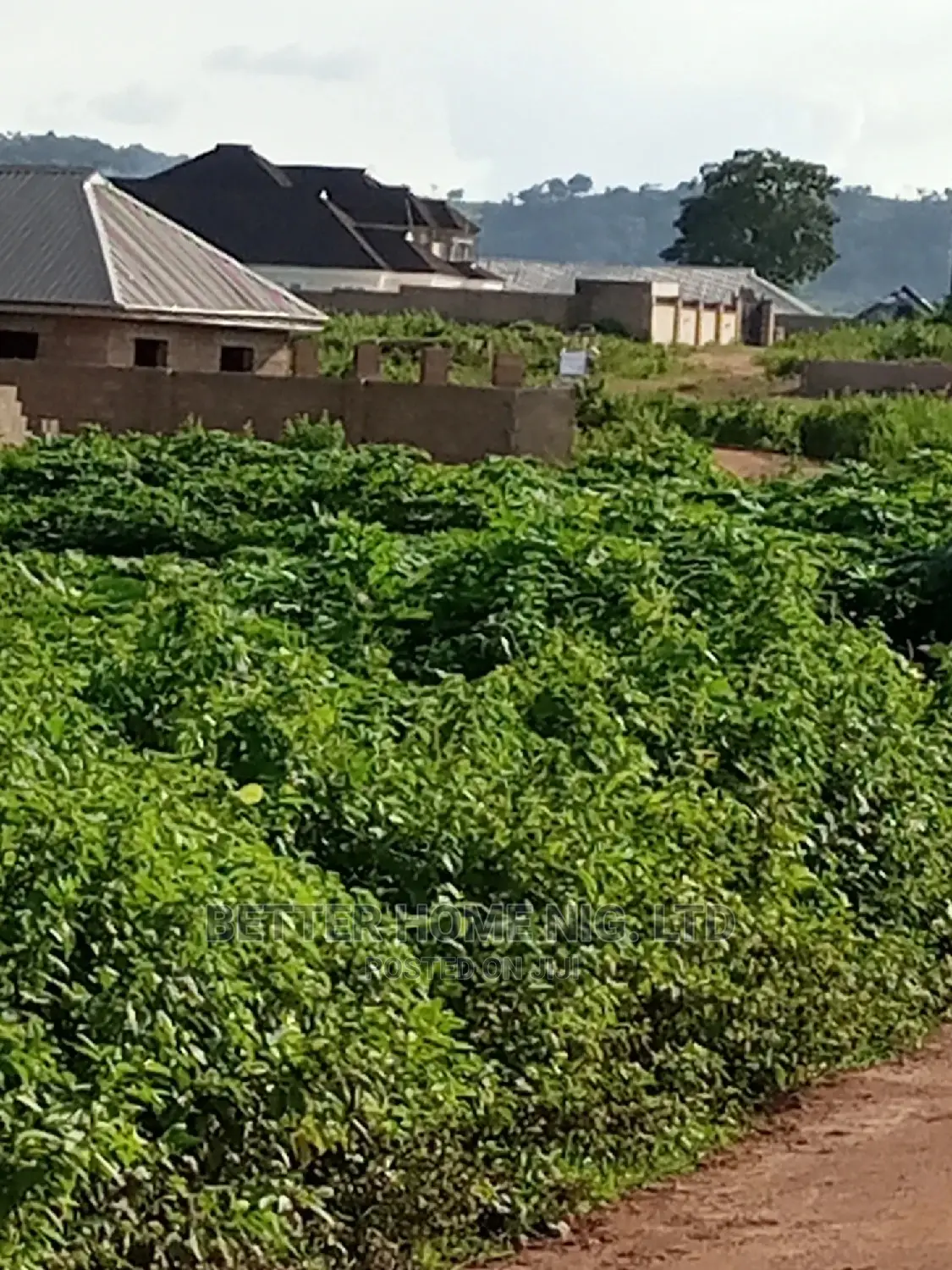 For Sale Plots of Land With Original Survey and Agreement
