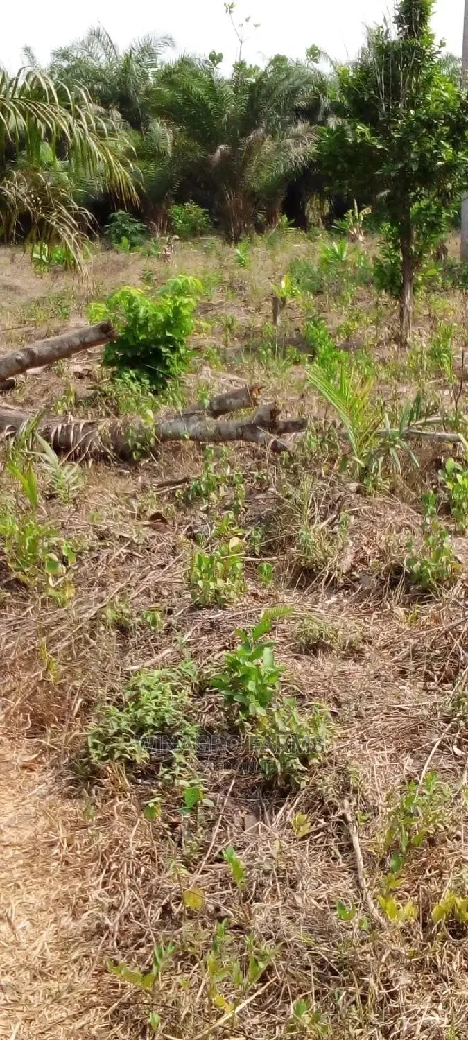 Farm Land for Sale