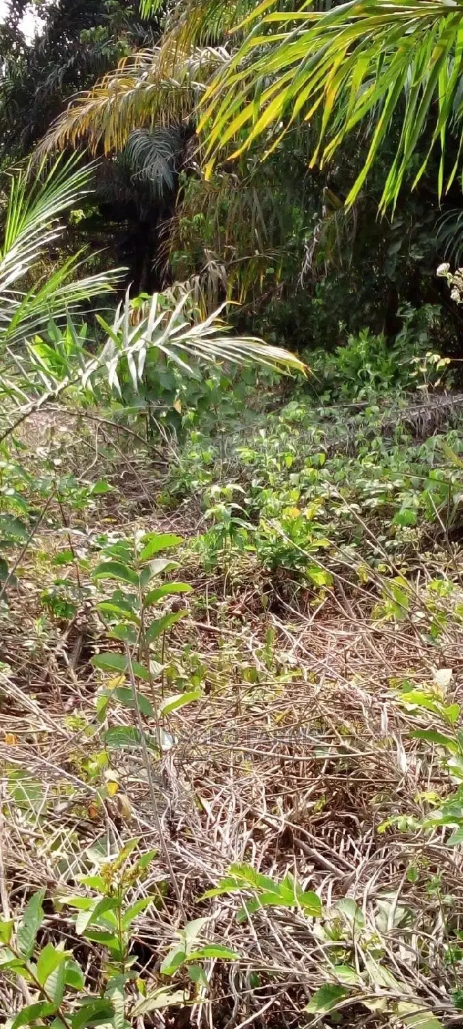 Farm Land for Sale