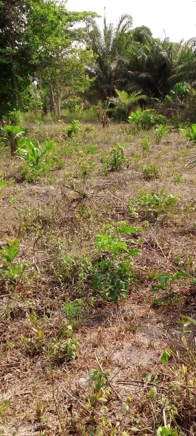 Farm Land for Sale
