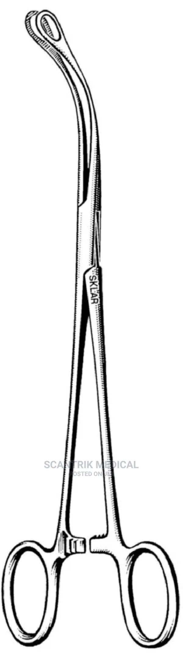 Locking Sponge Forceps Curved Body Piercing Stainless Steel