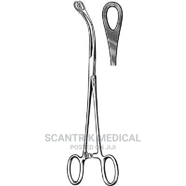 Surgical Holding Veterinary Instruments