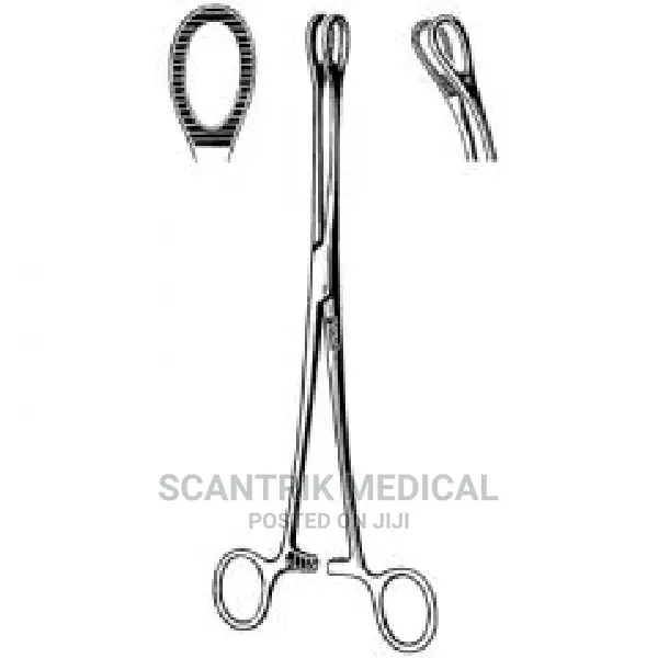 Forceps - Sponge Forceps