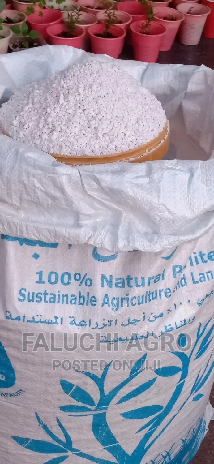 Perlite for Your Planting Needs ( Custard Paint)