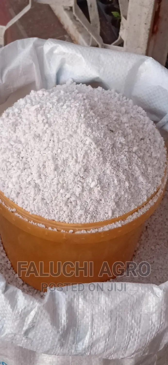 Perlite for Your Planting Needs ( Custard Paint)