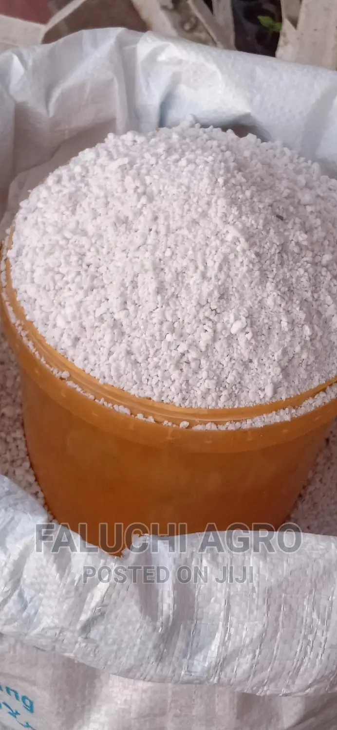 Perlite for Your Planting Needs ( Custard Paint)