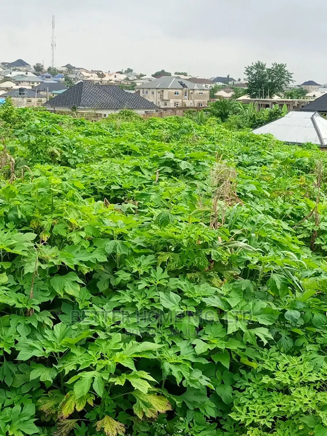 Land for Sale With Register Survey and Agreement