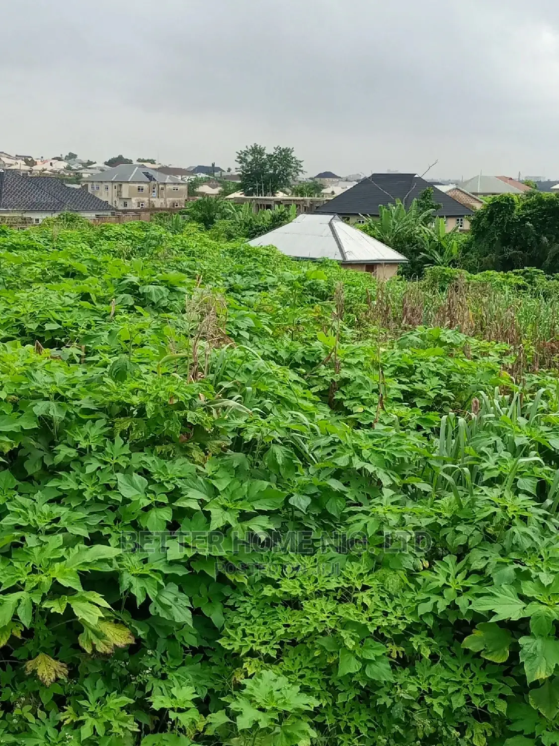 Land for Sale With Register Survey and Agreement