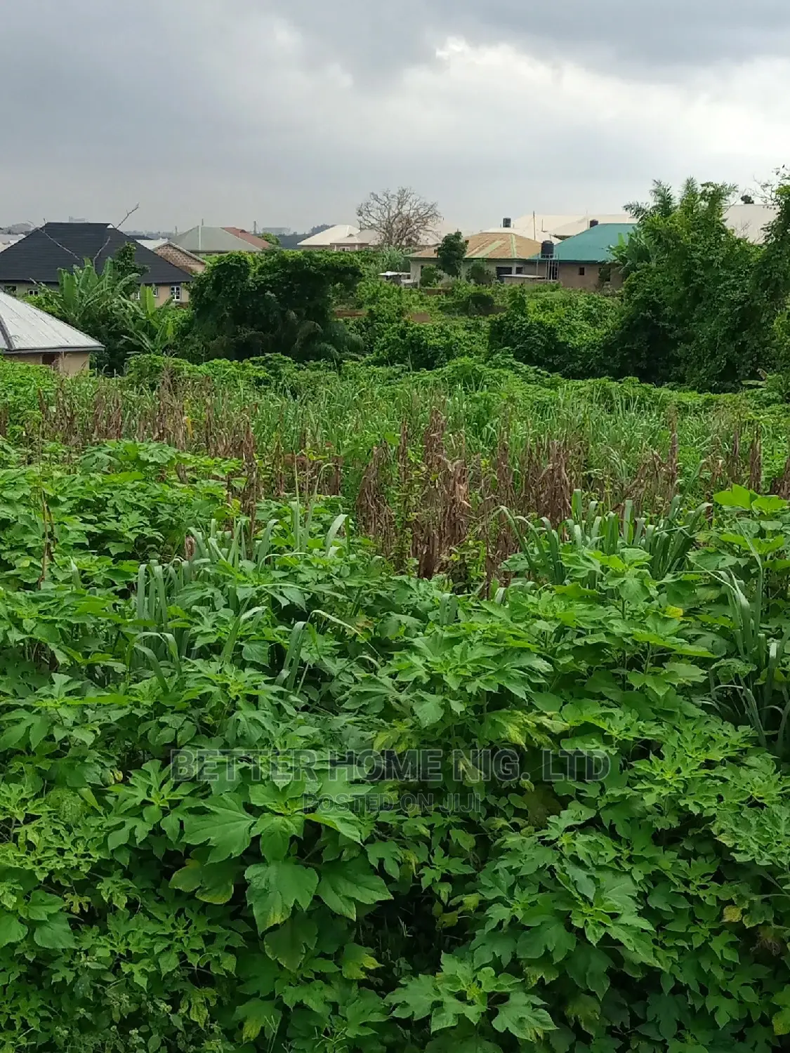 Land for Sale With Register Survey and Agreement
