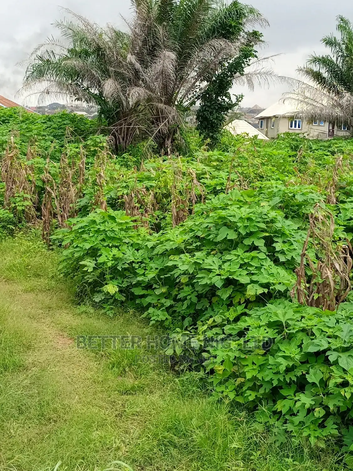 Land for Sale With Register Survey and Agreement