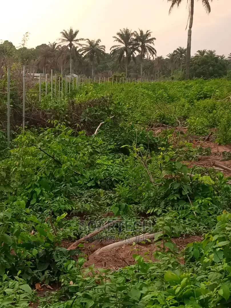 Farm Fencing Systerm