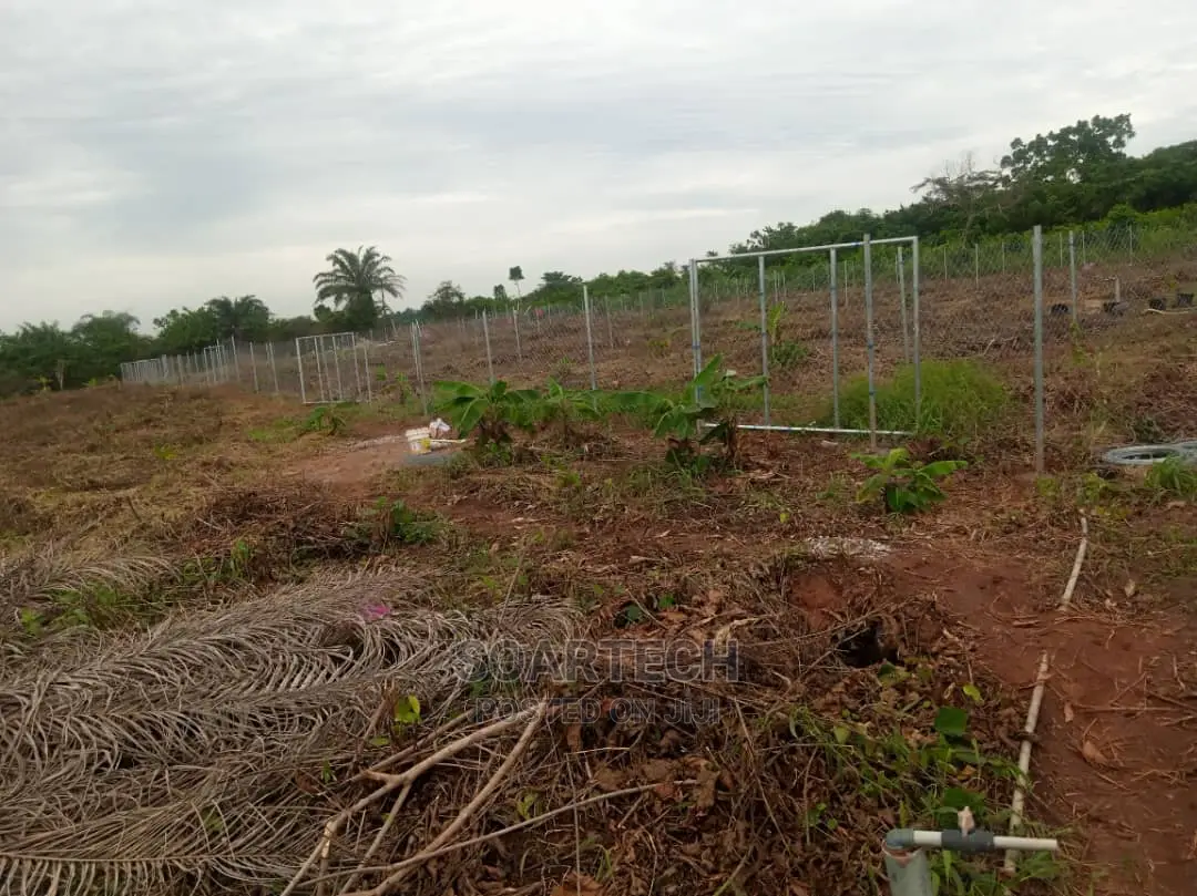 Cheap and Quality Fencingsystem