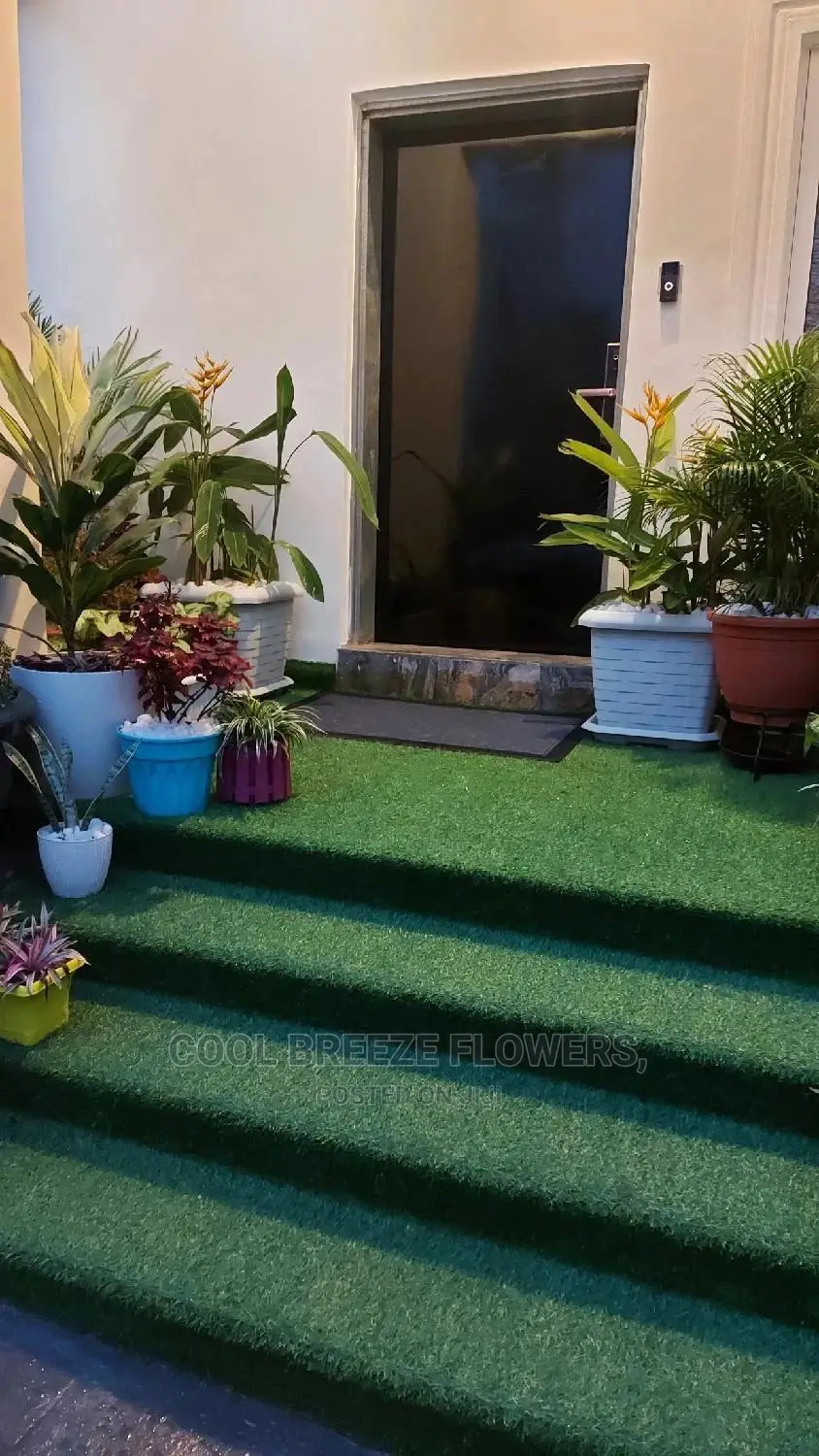 Air Purifying Flowers Plant's