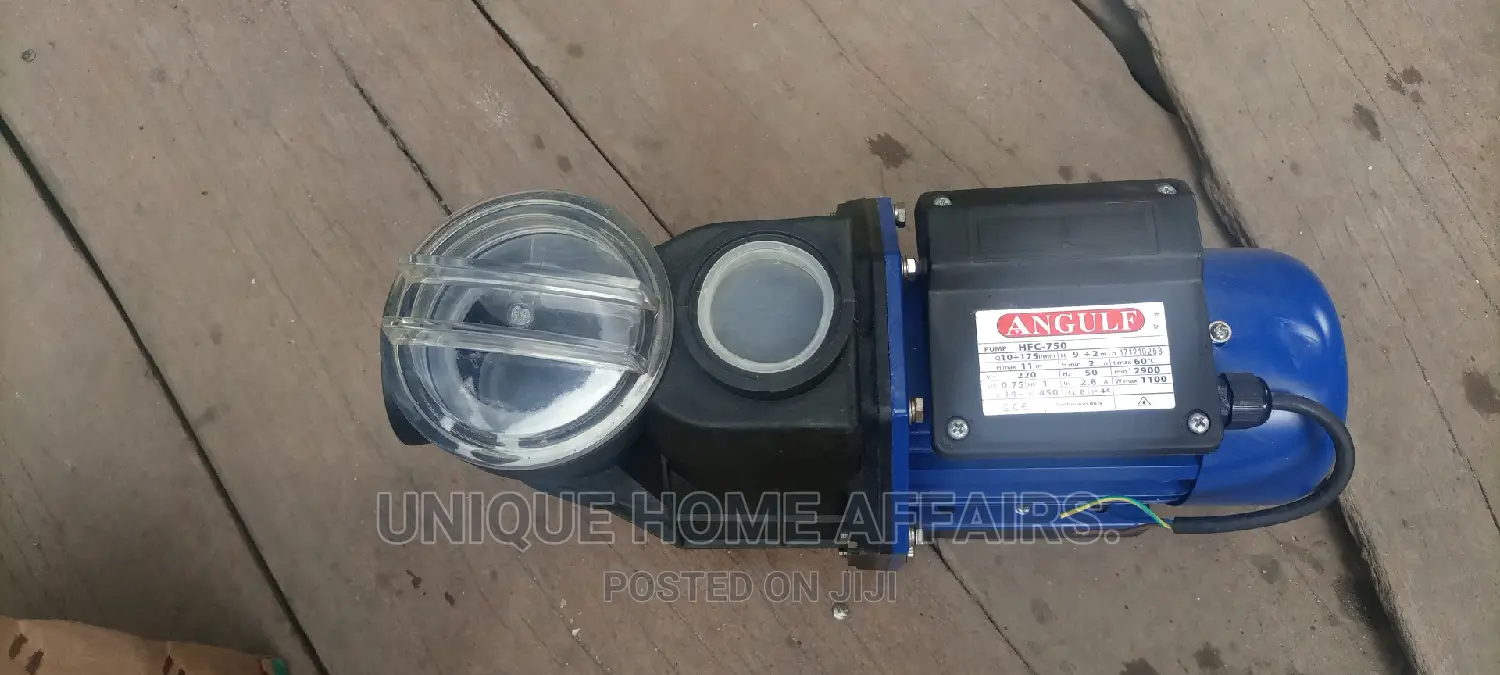 Pool Pump 1.5hp