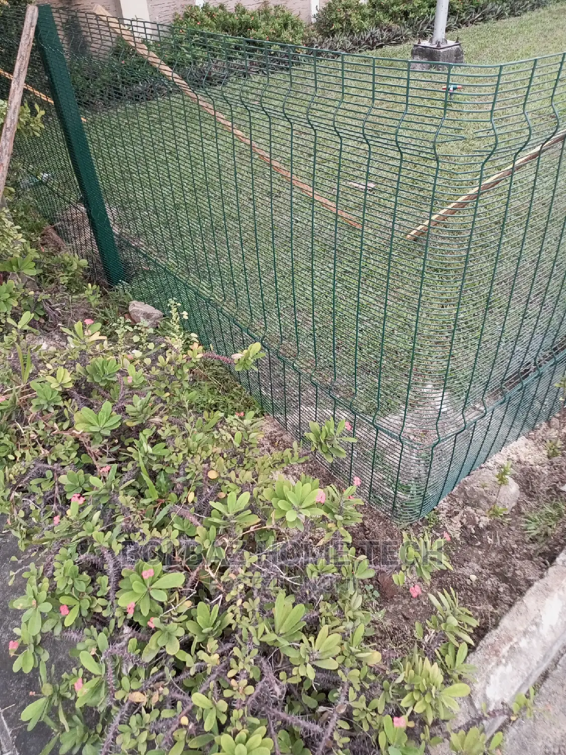 Panel Mesh Fence; For Garden and Road Demarcation