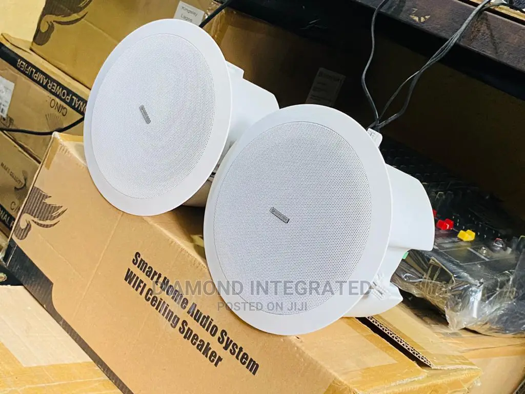 2 in 1 Lucky Tone Wifi Ceiling Speakers