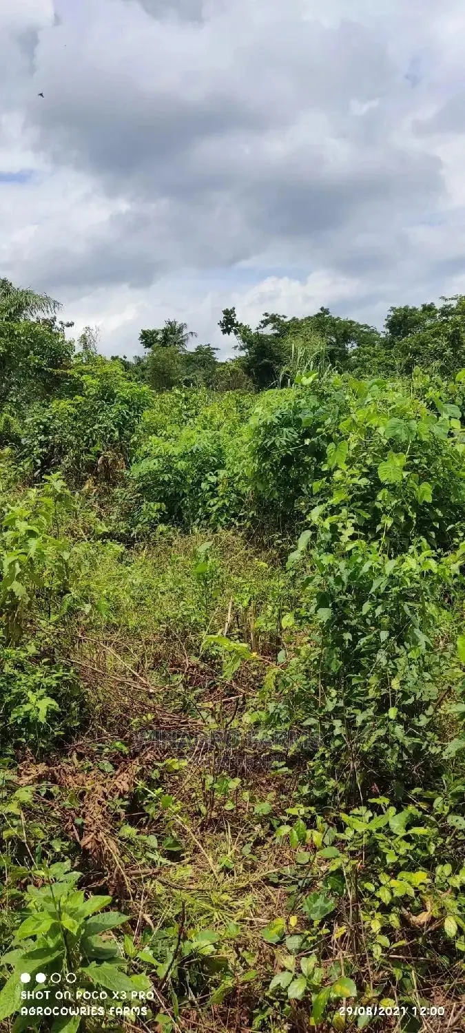 Cheap Farm Land for Sale