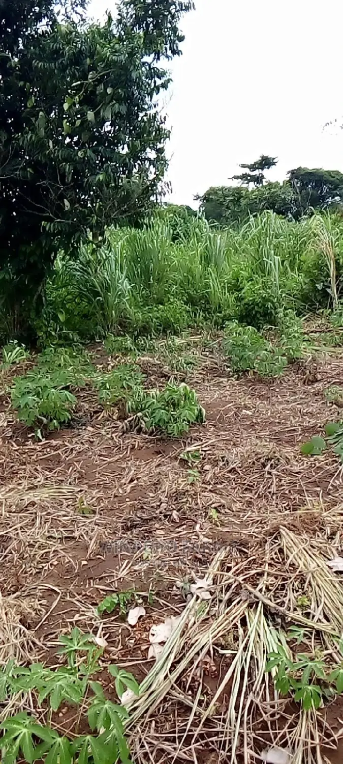 Evergreen Farm Land for Sale