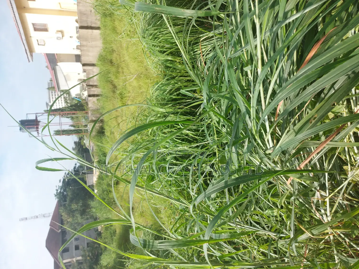 Residential of Land 4 Sale in the Heart of Wuse 2
