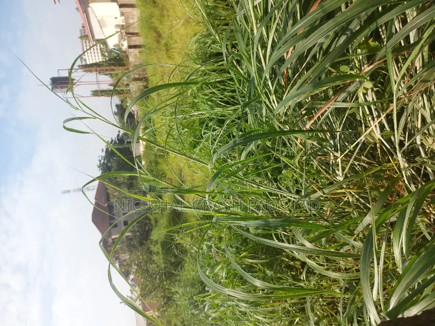 Residential of Land 4 Sale in the Heart of Wuse 2