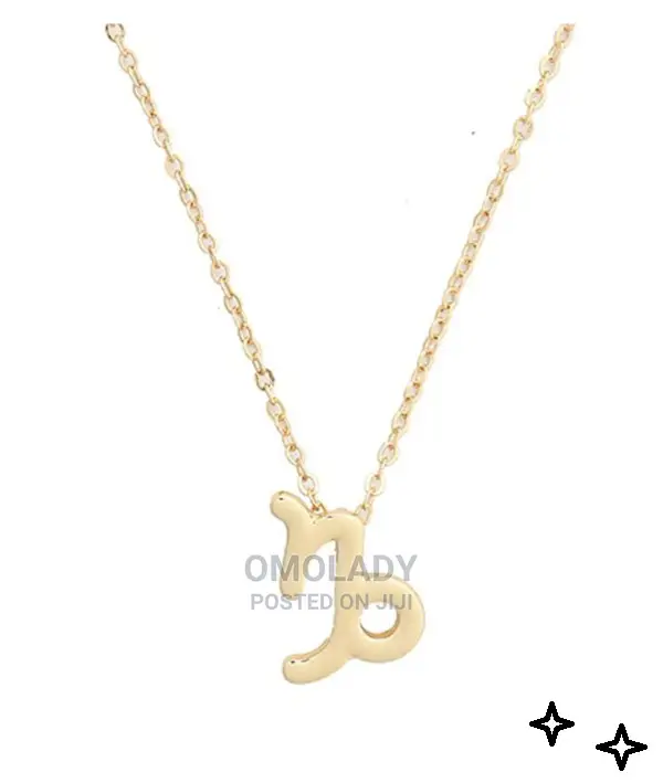 Zodiac Sign Gold Necklace - Capricorn
