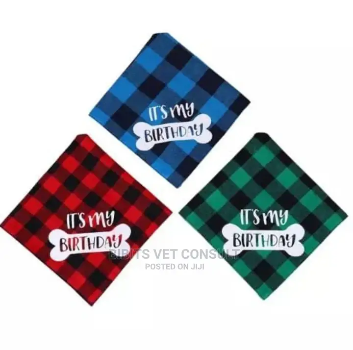 Bone Print IT'S MY BIRTHDAY Dog Bandana