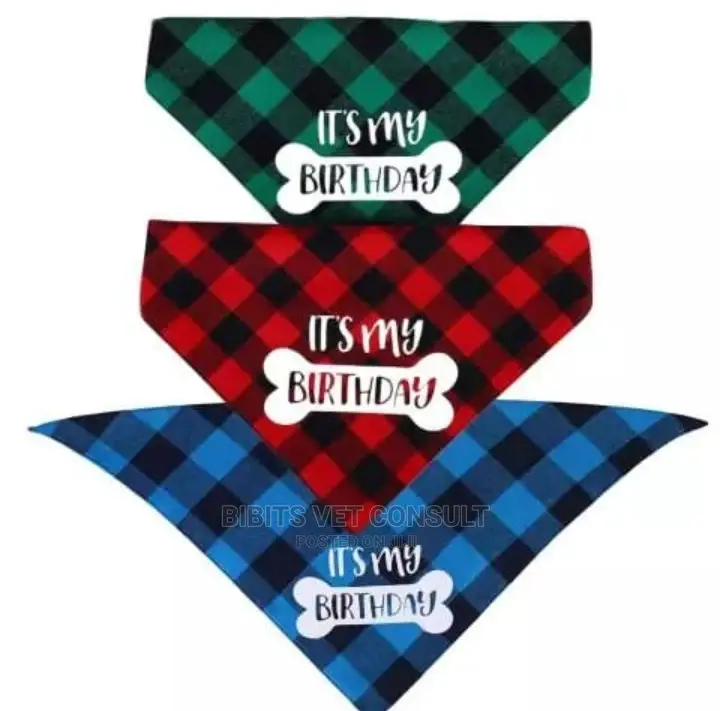Bone Print IT'S MY BIRTHDAY Dog Bandana