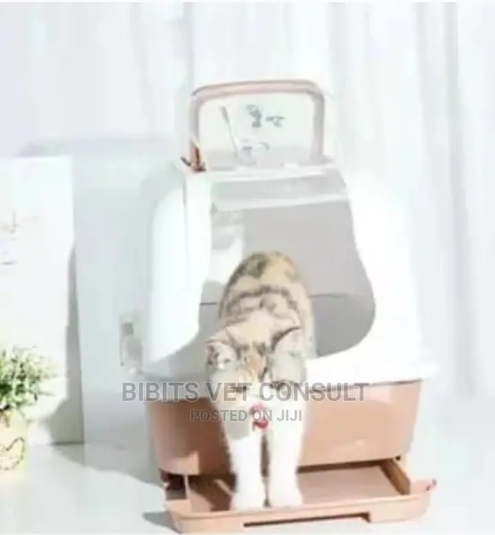 Fully Enclosed Deodorization Double Basin Cat Litter