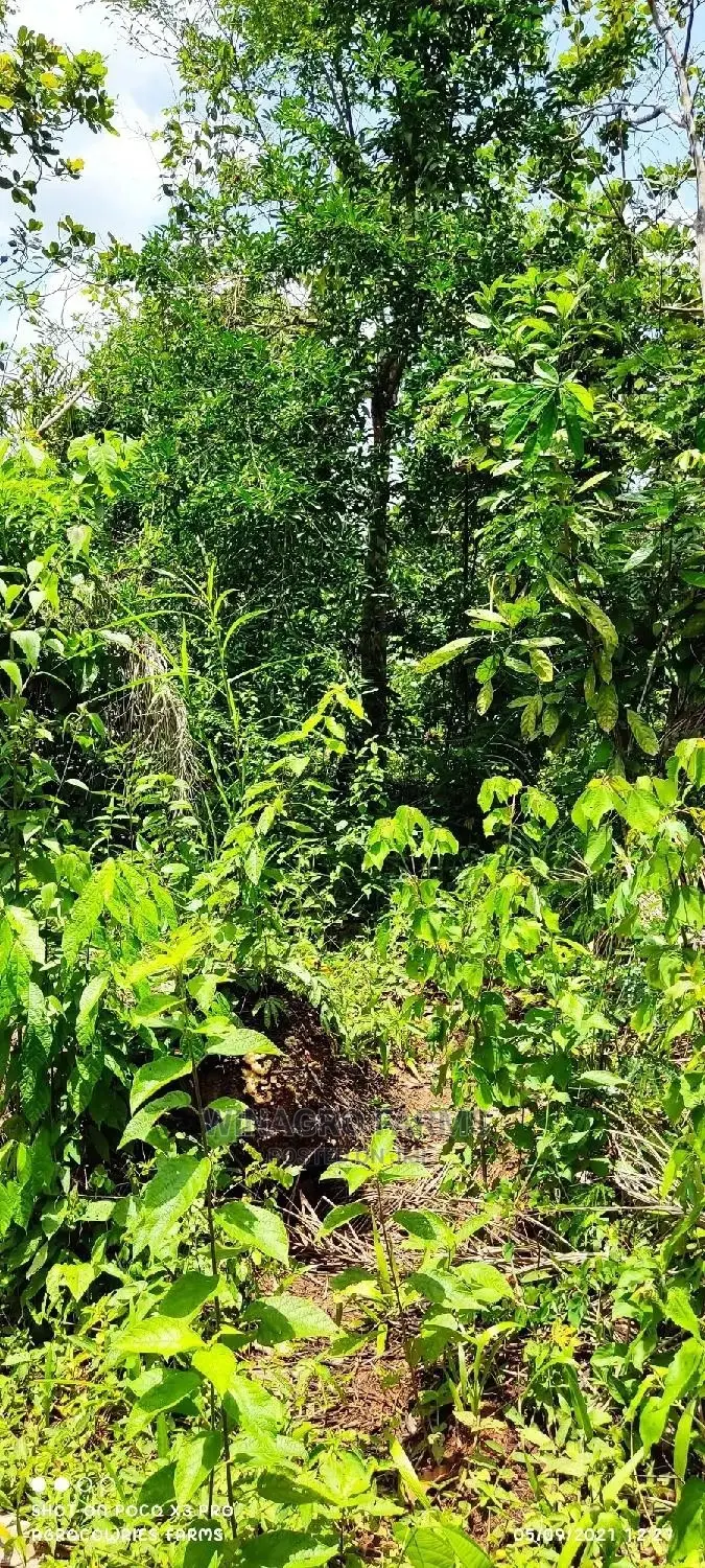 Massive Plots of Land for Sale at Abeokuta North
