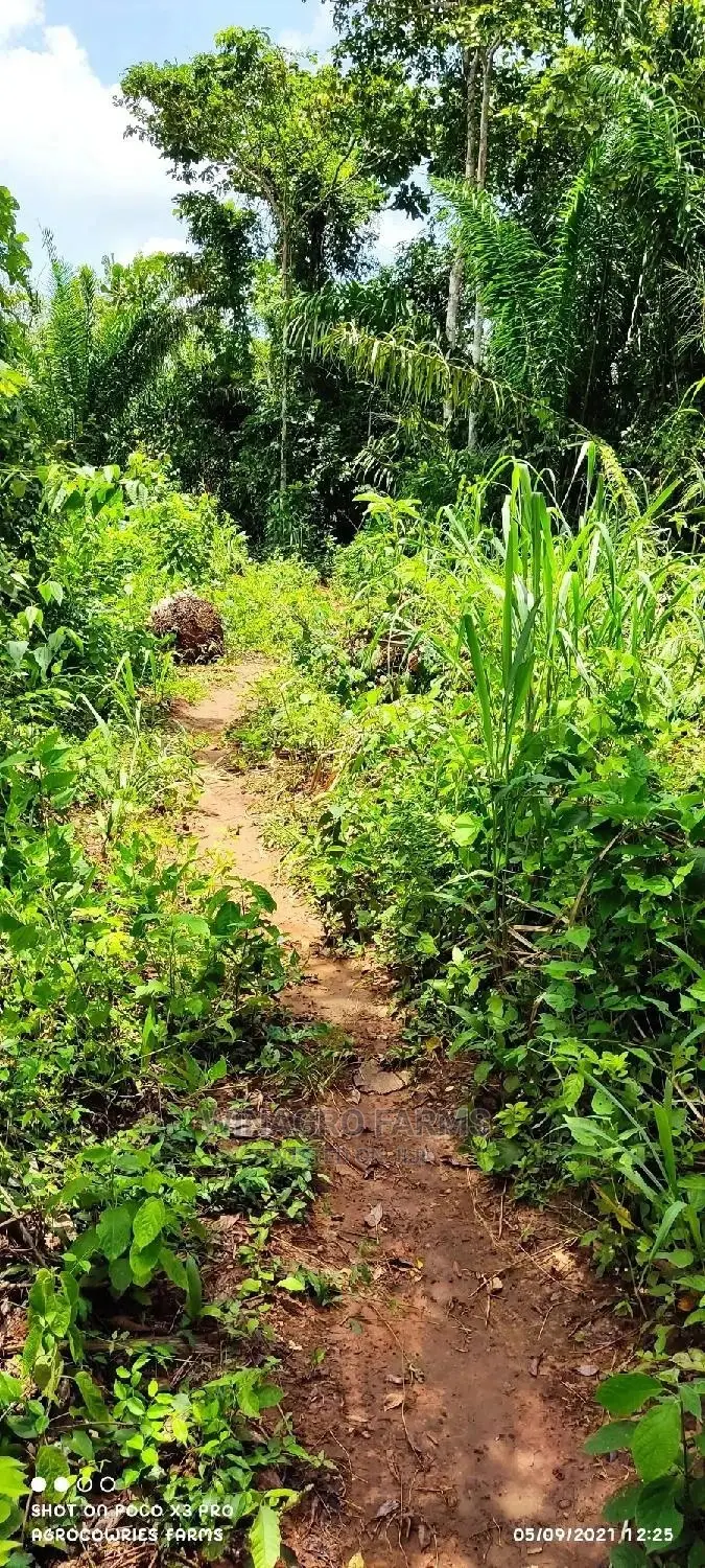 Agricultural Land for Sale in Abeokuta North