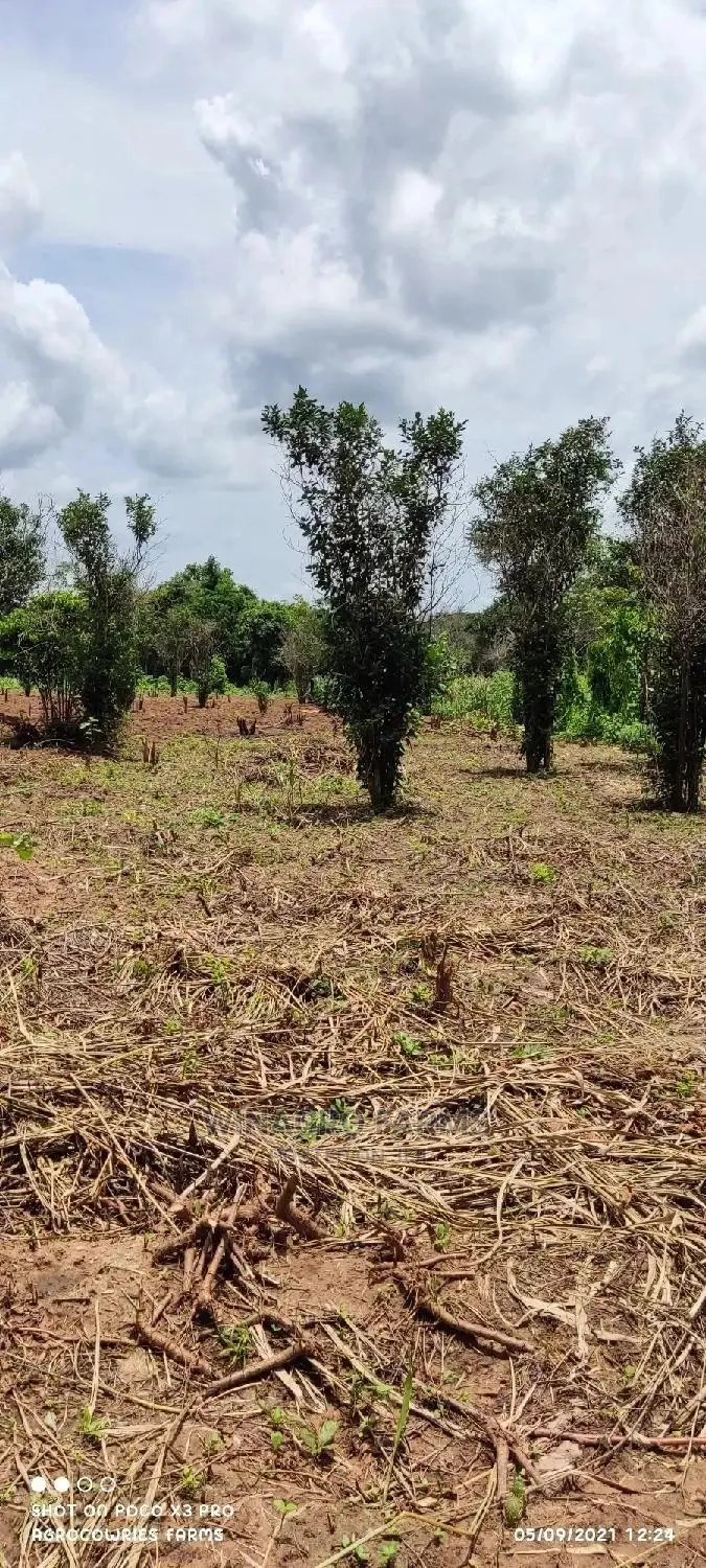 Agricultural Land for Sale in Abeokuta North