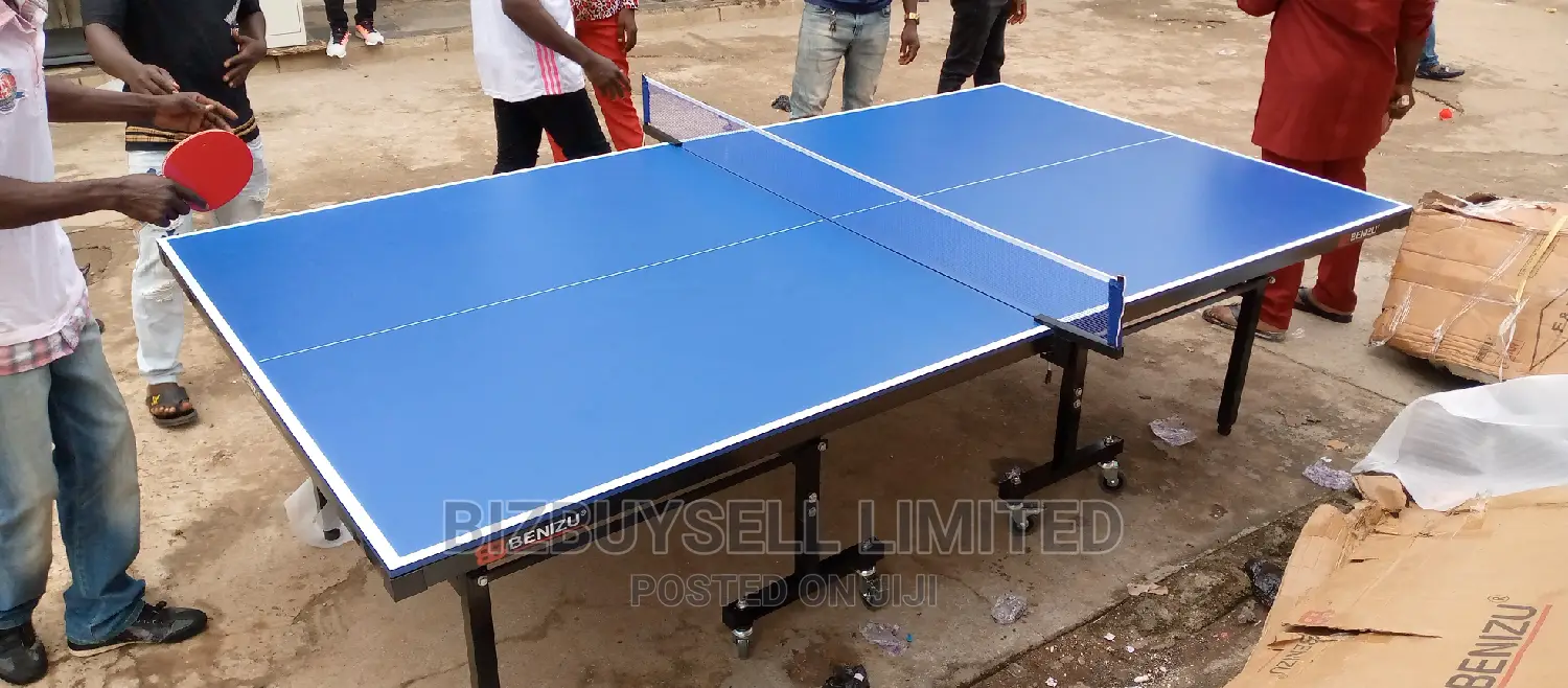 Indoor And Outdoor Moveable Table Tenis Board.